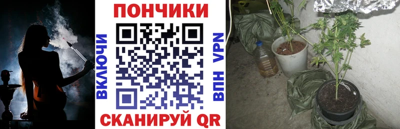 Где купить наркотики Иваново АМФ  mega маркетплейс  COCAIN  ГАШ 