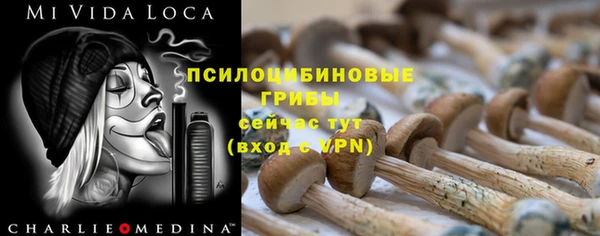 гашик Абдулино