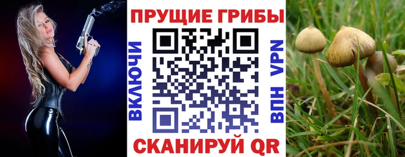 Псилоцибиновые грибы GOLDEN TEACHER  купить закладку  Иваново 